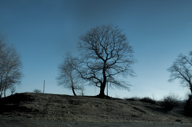 Similar image 12348103