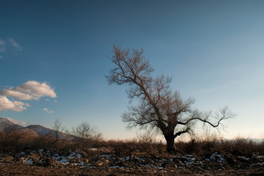 Similar image 12348104