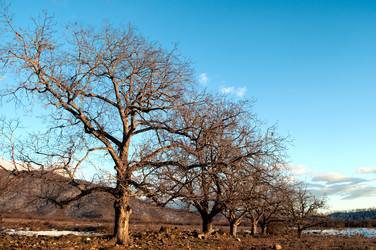 Similar image 12348109