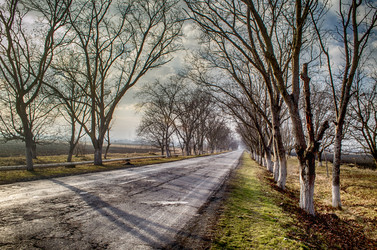 Similar image 12348112