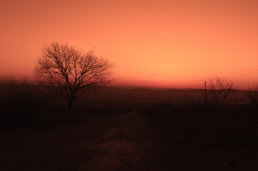 Similar image 12348113