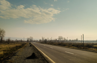 Similar image 12348125