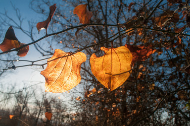 Similar image 12348136