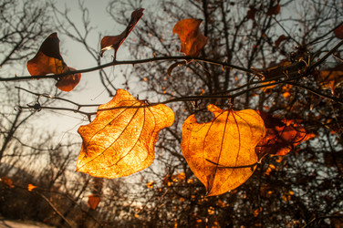 Similar image 12348140