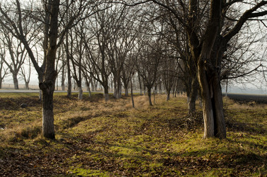 Similar image 12348142