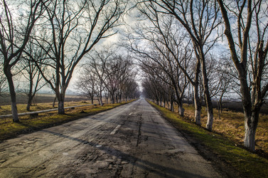 Similar image 12348144