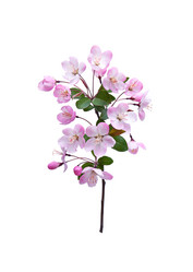 Similar image 12250445