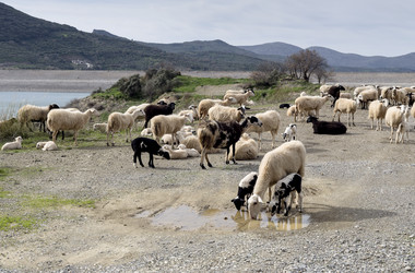 Similar image 12250284