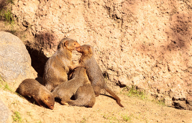 Similar image 12350446