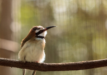 Similar image 12351691