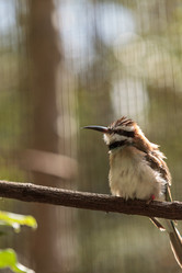 Similar image 12351692