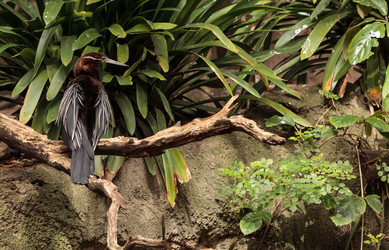 Similar image 12351694