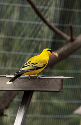 Similar image 12351699