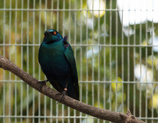 Similar image 12343320