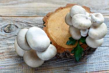 Similar image 12250491