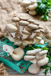 Similar image 12250492