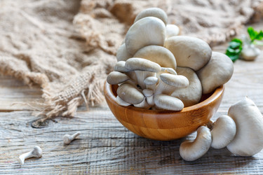 Similar image 12250493