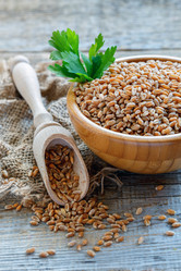 Similar image 12250495