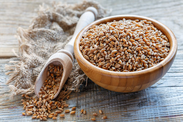 Similar image 12250496