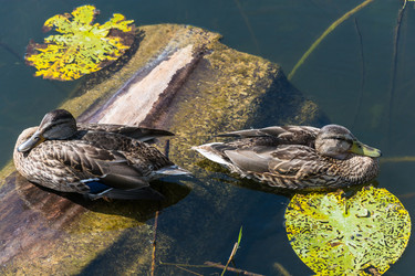 Similar image 12346858