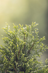 Similar image 12254515