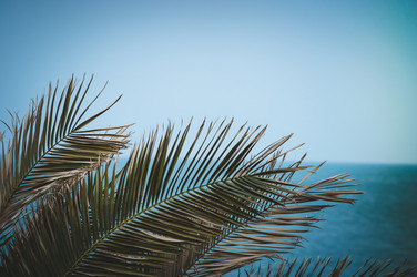 Similar image 12253584