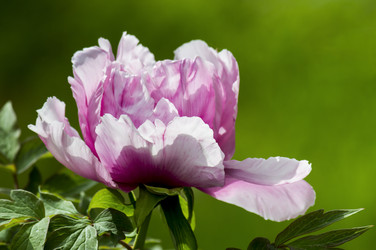 Similar image 12254516