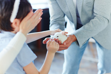 Similar image 12346374