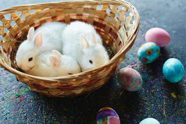 Similar image 12346390