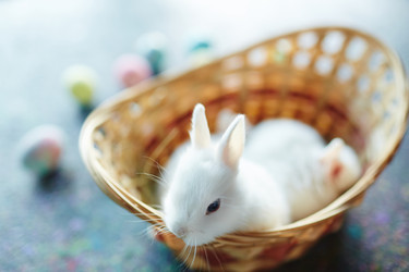 Similar image 12346391