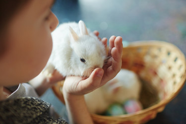 Similar image 12346393