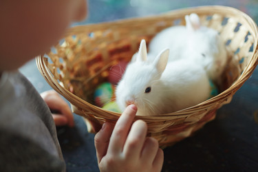 Similar image 12346394