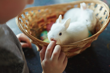 Similar image 12346395