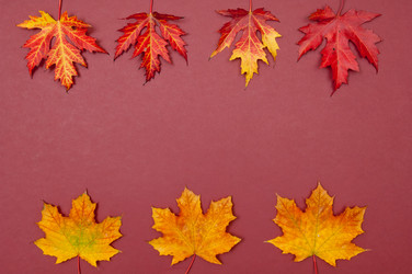 Similar image 12252837