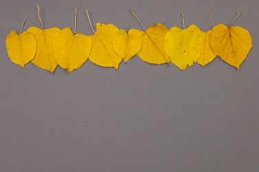 Similar image 12252898