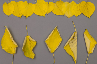 Similar image 12252899