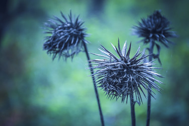 Similar image 12254517