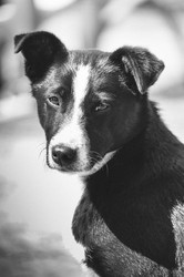 Similar image 12254518