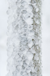 Similar image 12347336