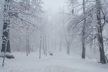 Similar image 12347354