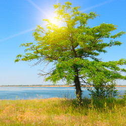 Similar image 12254564