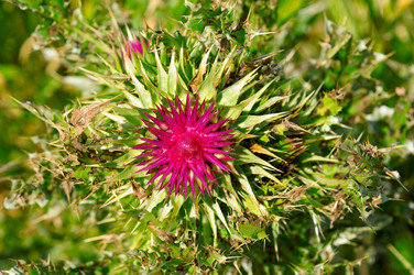 Similar image 12254568