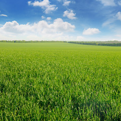 Similar image 12254597