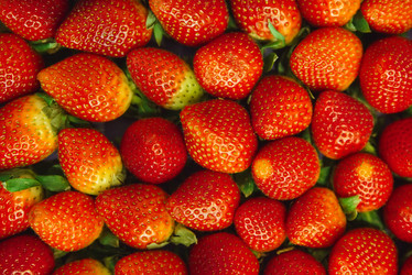 Similar image 12252702