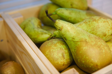 Similar image 12252703