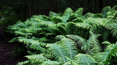 Similar image 12252670