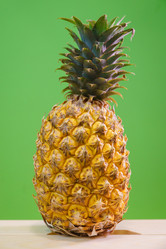 Similar image 12252705