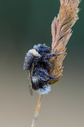 Similar image 12253005