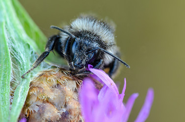 Similar image 12253006