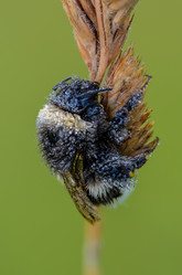 Similar image 12253007